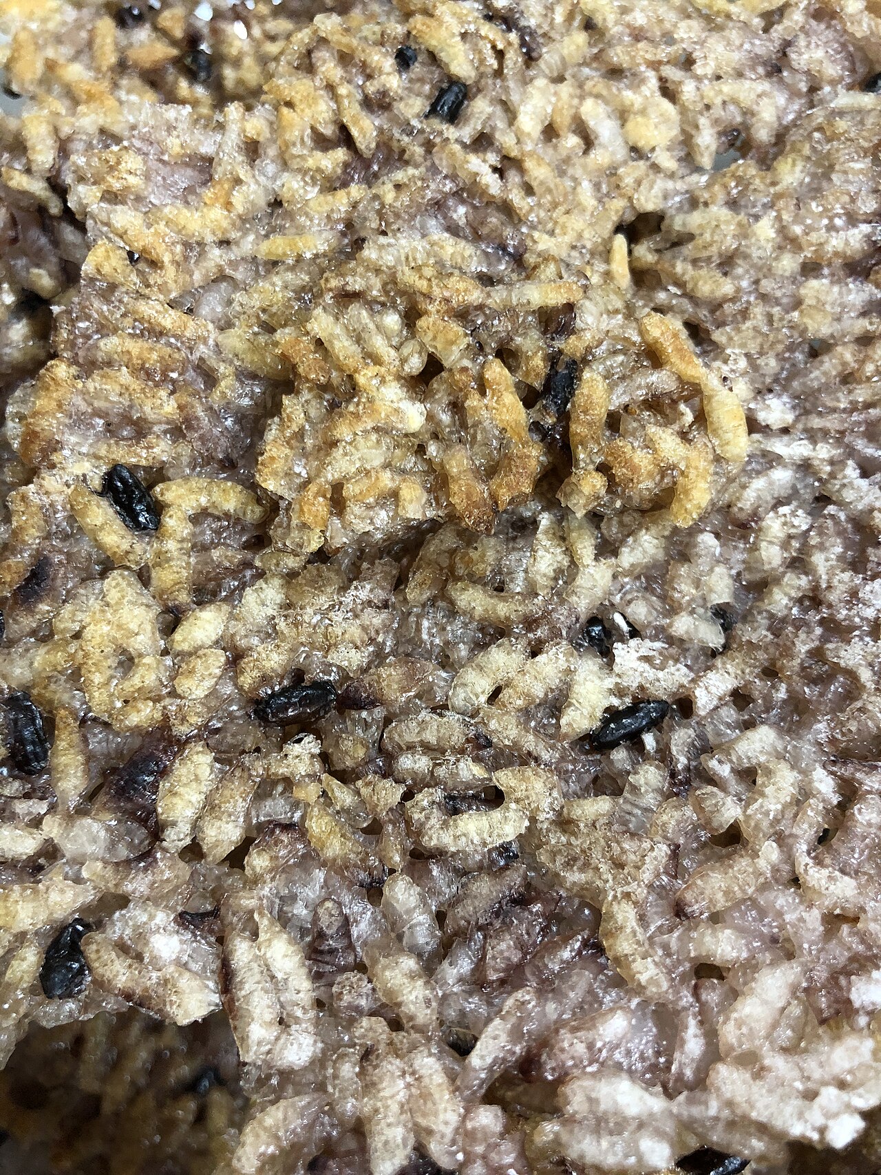 Scorched rice